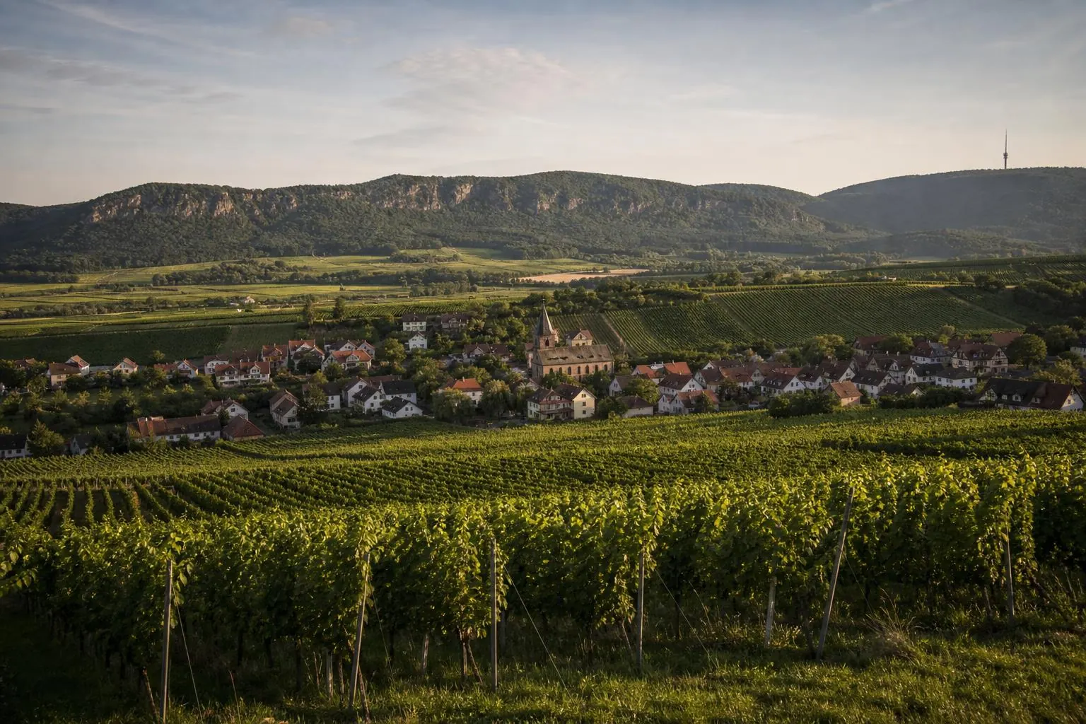 Regionale Verantwortung